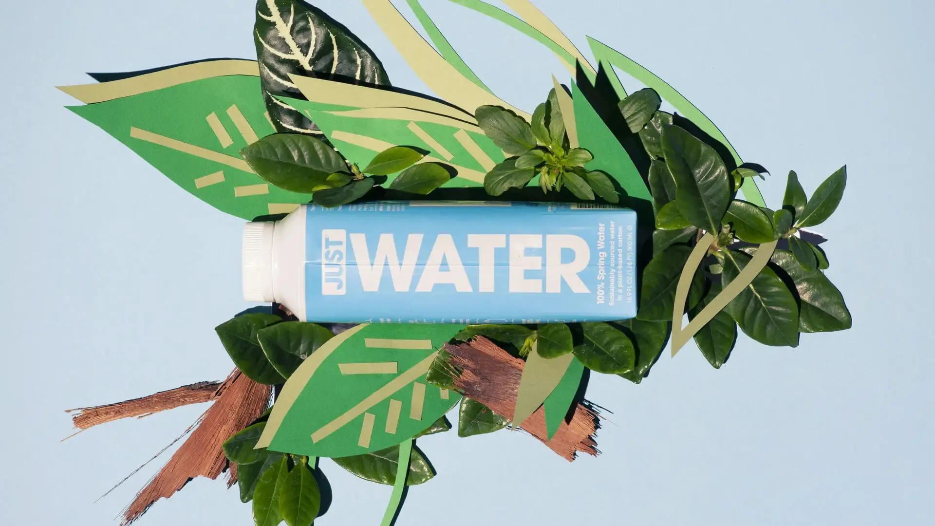 Just Water bottle on top of leaves